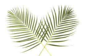 PALM SUNDAY